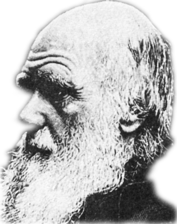 Charles Robert Darwin